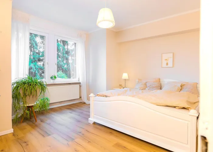 Waldeck, Alleinlage - Eigene Sonnenterrasse - 70 M2 Daire *